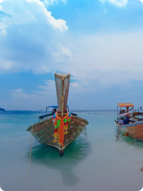 Link → image (2) (1)