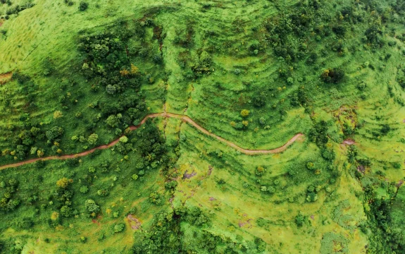 DJI_0189