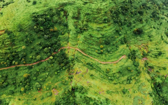 DJI_0189